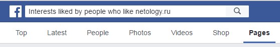 в строке поиска введите «Interests liked by people who like [название вашей страницы]»