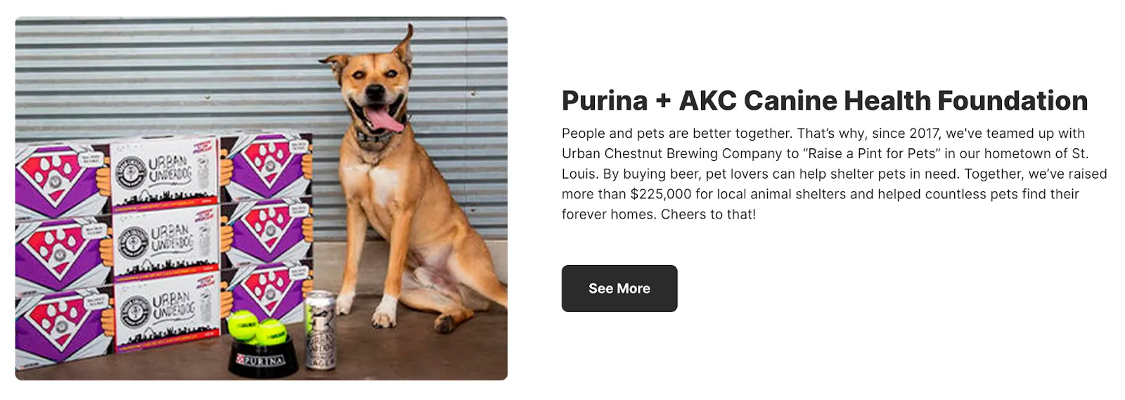 10-responsible-pet-brand-positioning