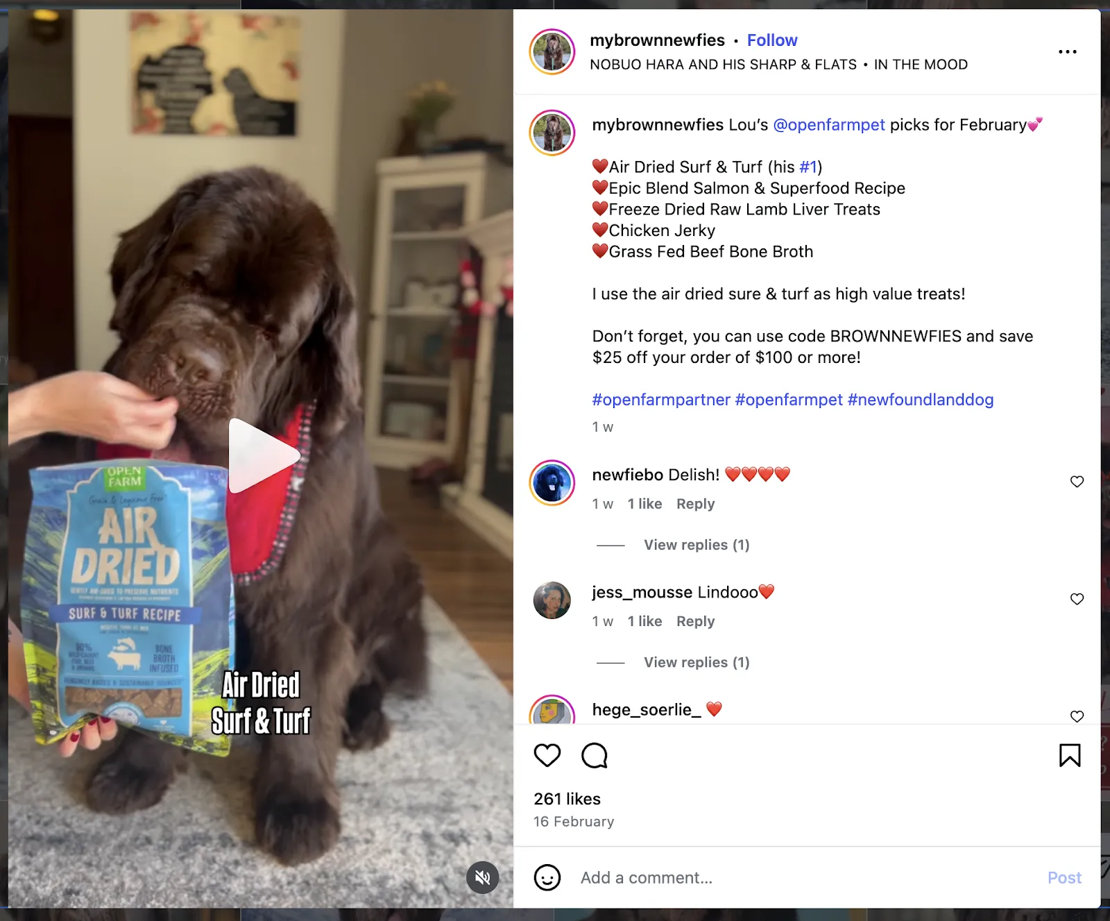 2-partner-with-lifestyle-pet-bloggers