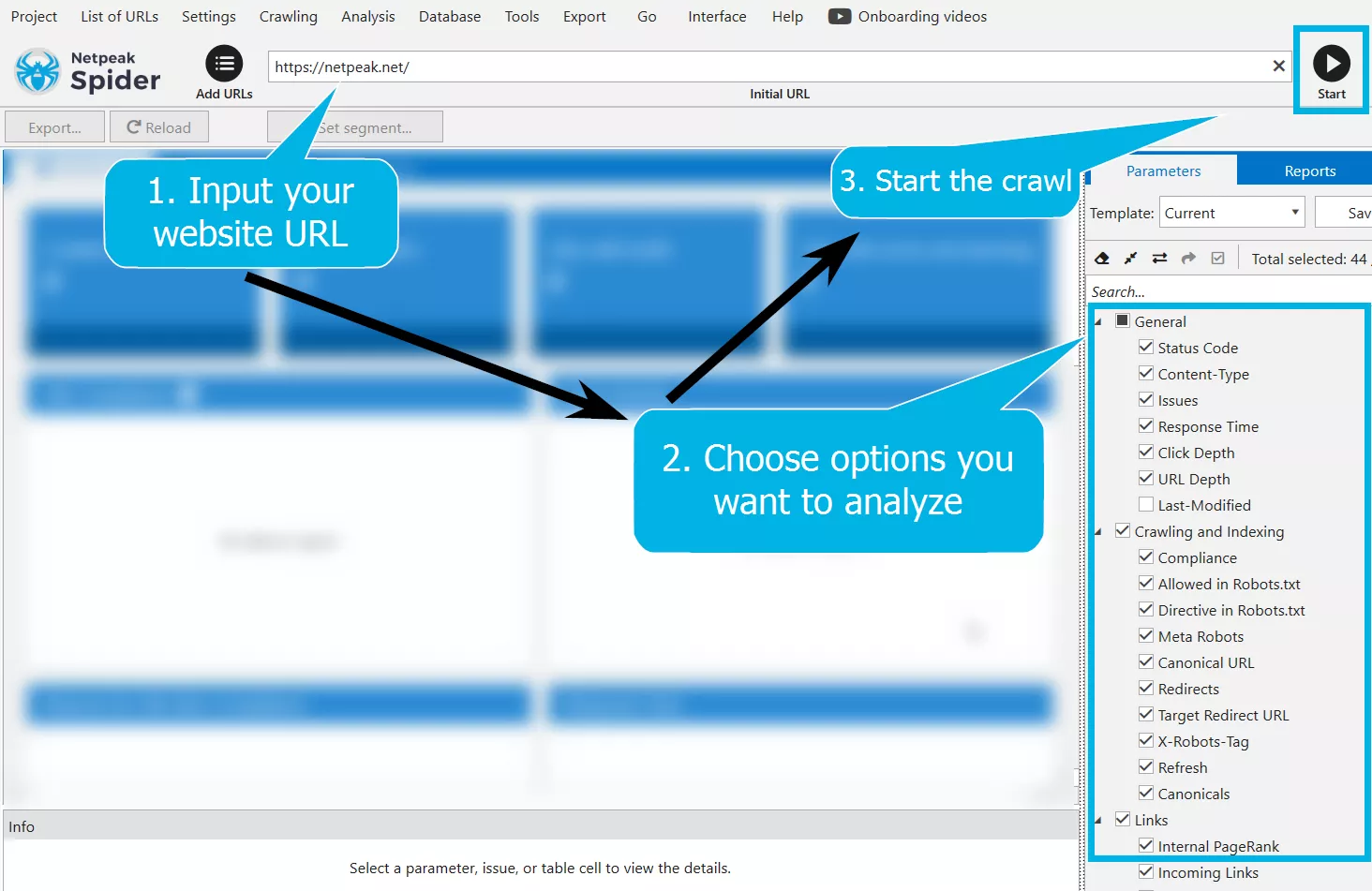 Input your website URL and start the crawl with the options you want to analyze