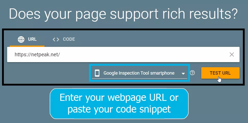 Enter your webpage URL or paste your code snippet