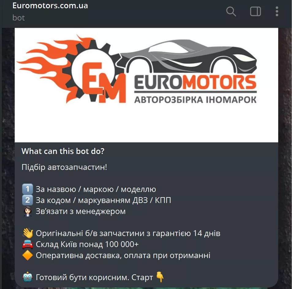 Чат-бот объясняет, что он умеет