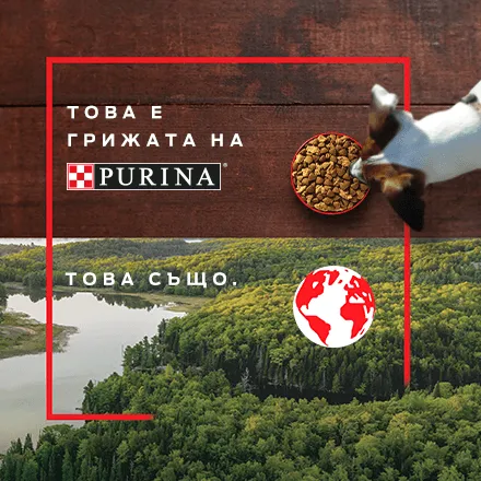 Редизайн и обновяване на структурата на сайта с по-добра функционалност и адаптация за потребителите