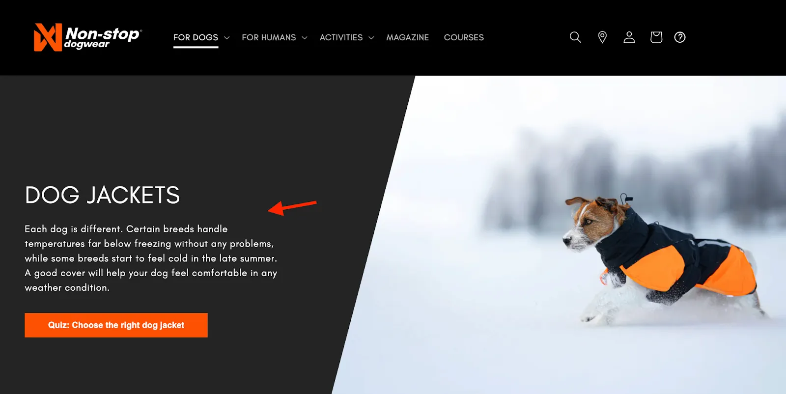 8-solve-problems-dont-just-sell