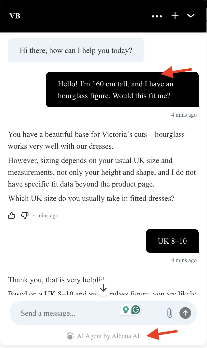 Ahena AI chatbot test drive 2