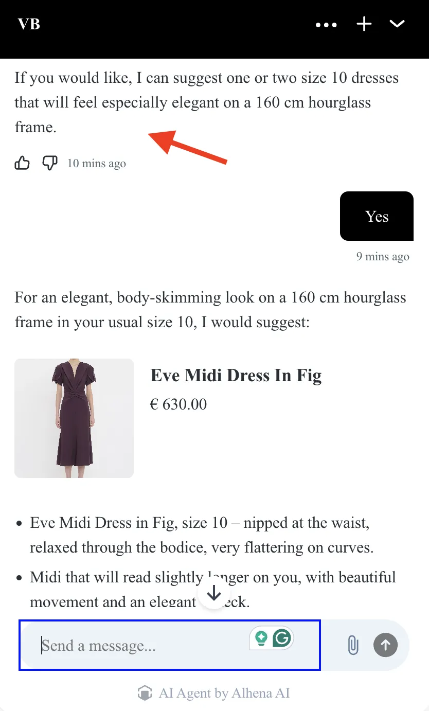Ahena AI chatbot test drive 3