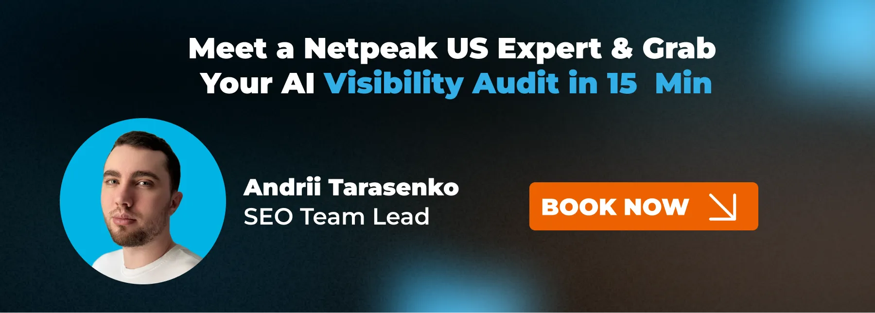 Netpeak US SEO Audit