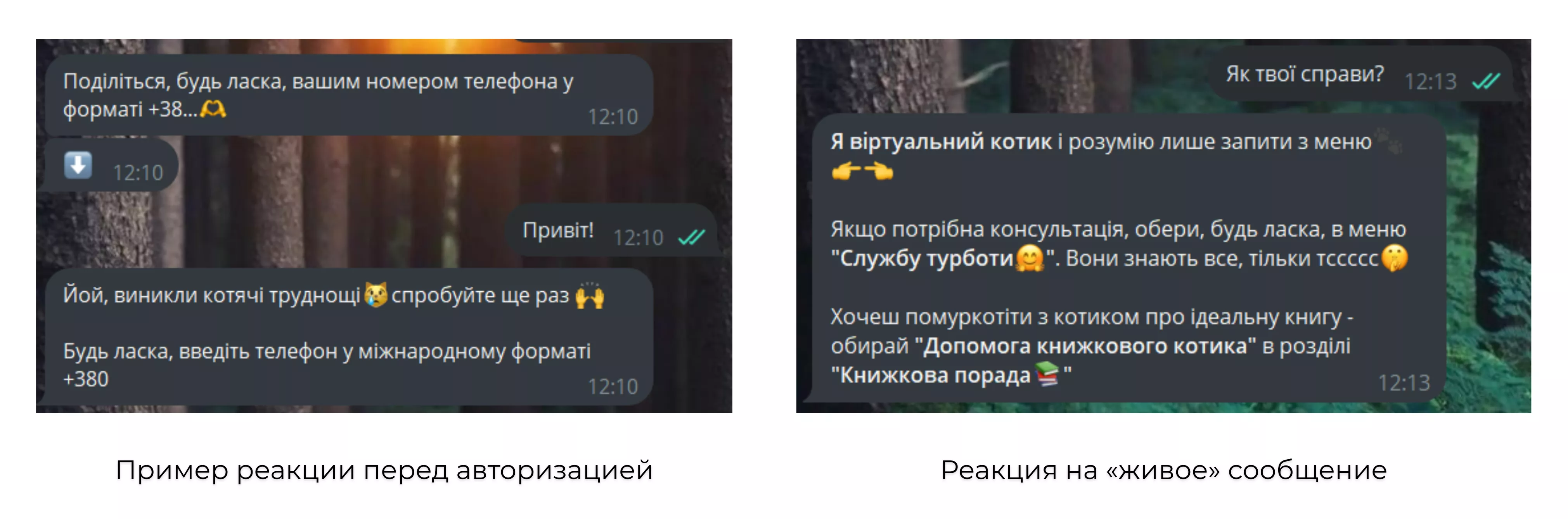 чат-бот readeat регистрация сценарии ошибки