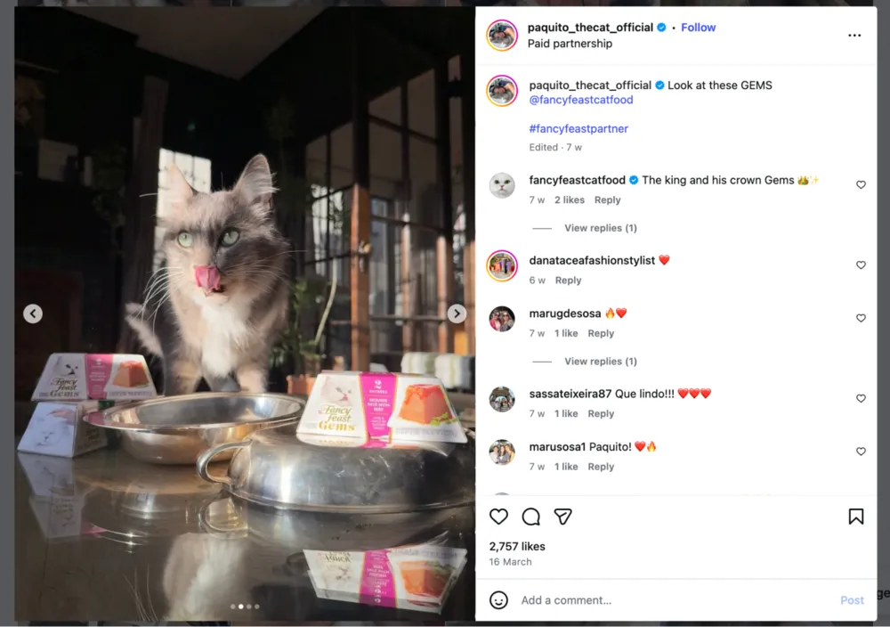 coordinate-with-pet-influencers2