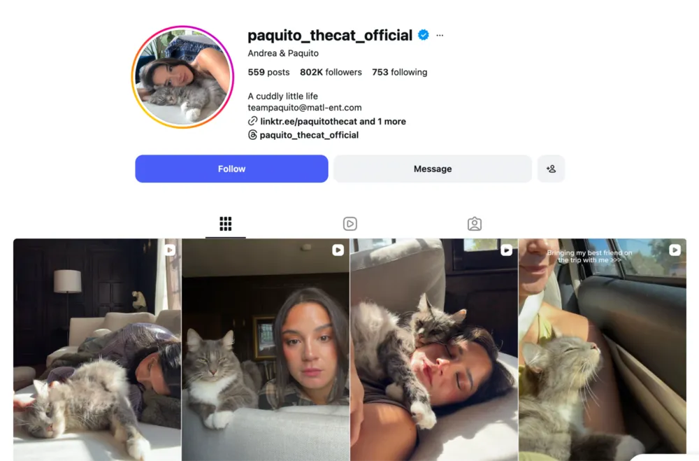 coordinate-with-pet-influencers