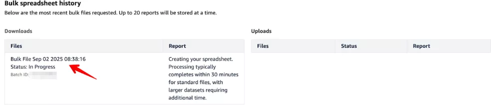 File processing Amazon