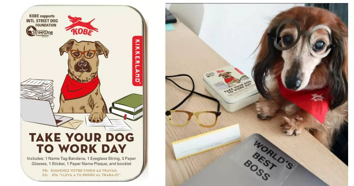 Работите в dog friendly офис и искате вие и вашето куче да се представите на ниво?