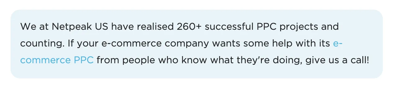 Netpeak company experience example