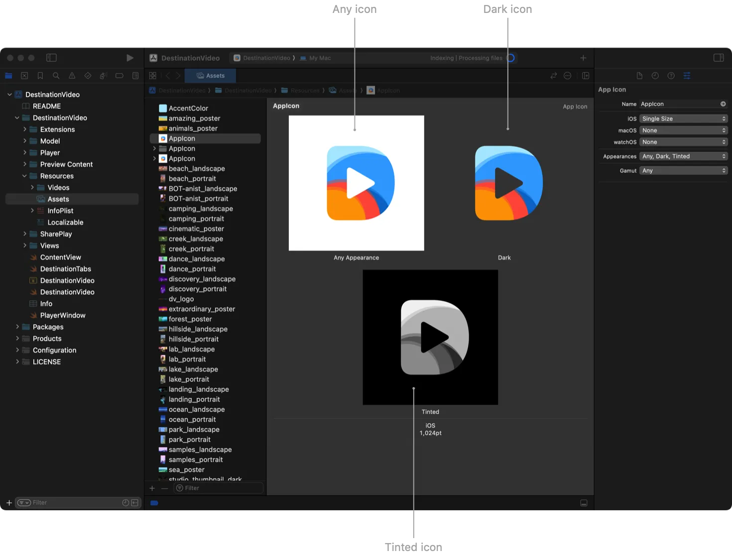 Іконка додається не як окремий файл, вона вже має бути вбудована у ваш каталог ресурсів у проєкті в Xcode.