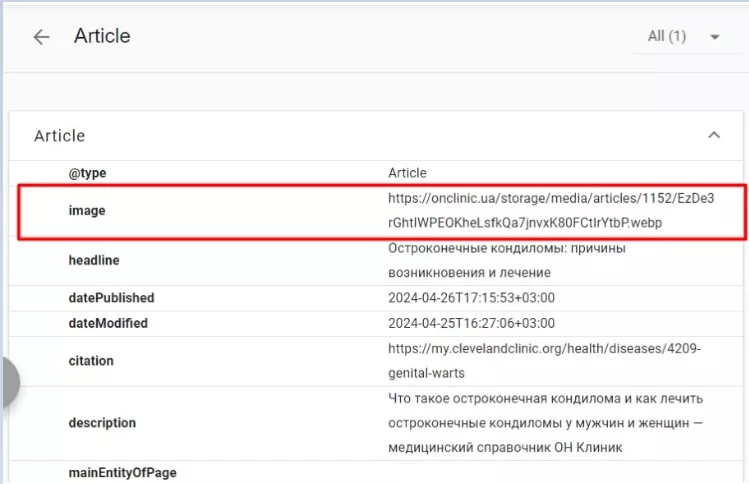 Example of article before changes: with a single image used as the article cover