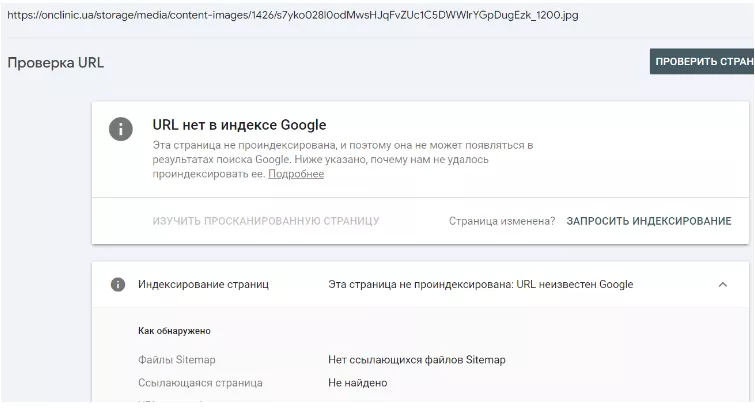 Пример отсутствия индексации изображений по данным Google Search Console