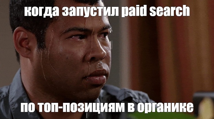 как не слить рекламный бюджетапо топ-позициям в органике