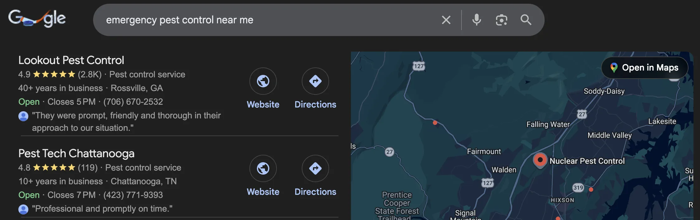 Pest Control Local SEO