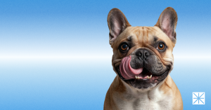 Sephora Just Plugged Into ChatGPT: Here Is What That Means for Pet Brands on Amazon