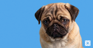 The $12,000 Amazon Launch Mistake: How to Avoid the Same Fate