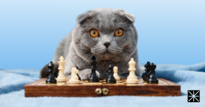 What Europe’s 2026 Beauty E-сommerce Rankings Mean for US Pet Brands