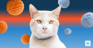 What Should Pet Brands Do About Temu in 2026?