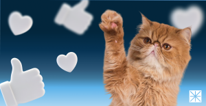 Should US Pet Brands Be on TikTok Shop? What Europe’s 2026 Numbers Reveal