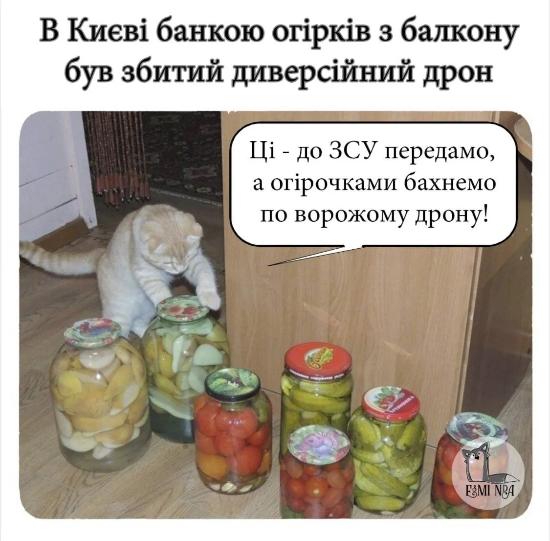 Меми в стресових ситуаціях