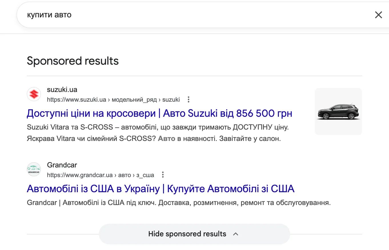 Paid Search Ads (Google Ads, Shopping Ads)