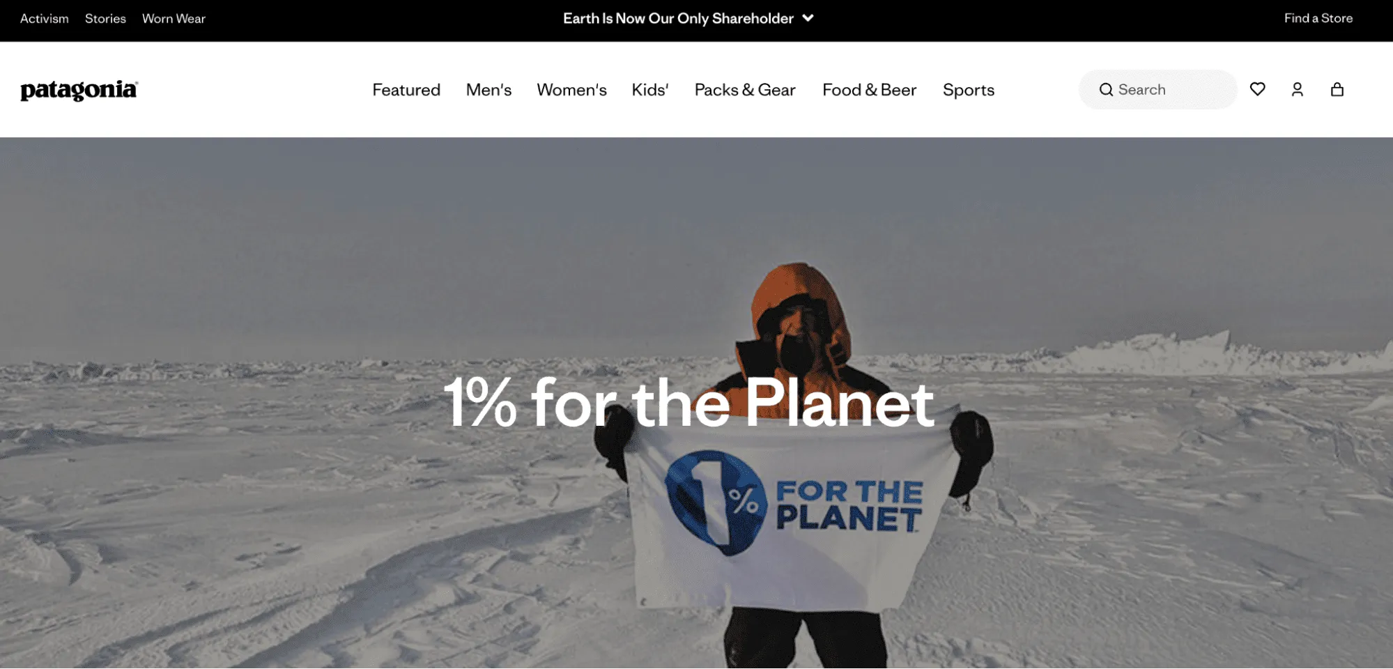 patagonia-high-level-consistency4