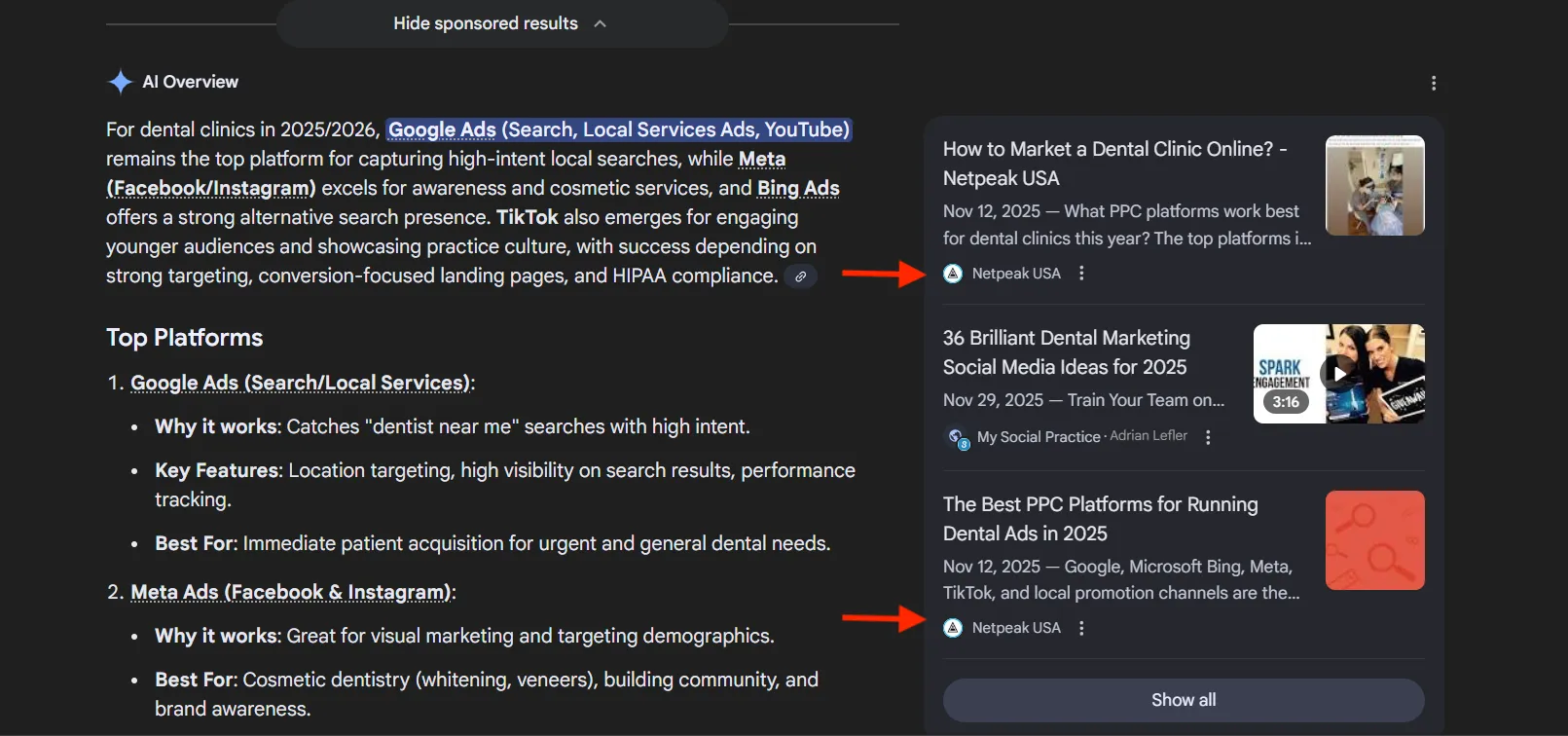 Netpeak US LLM Article Experiment Results 1