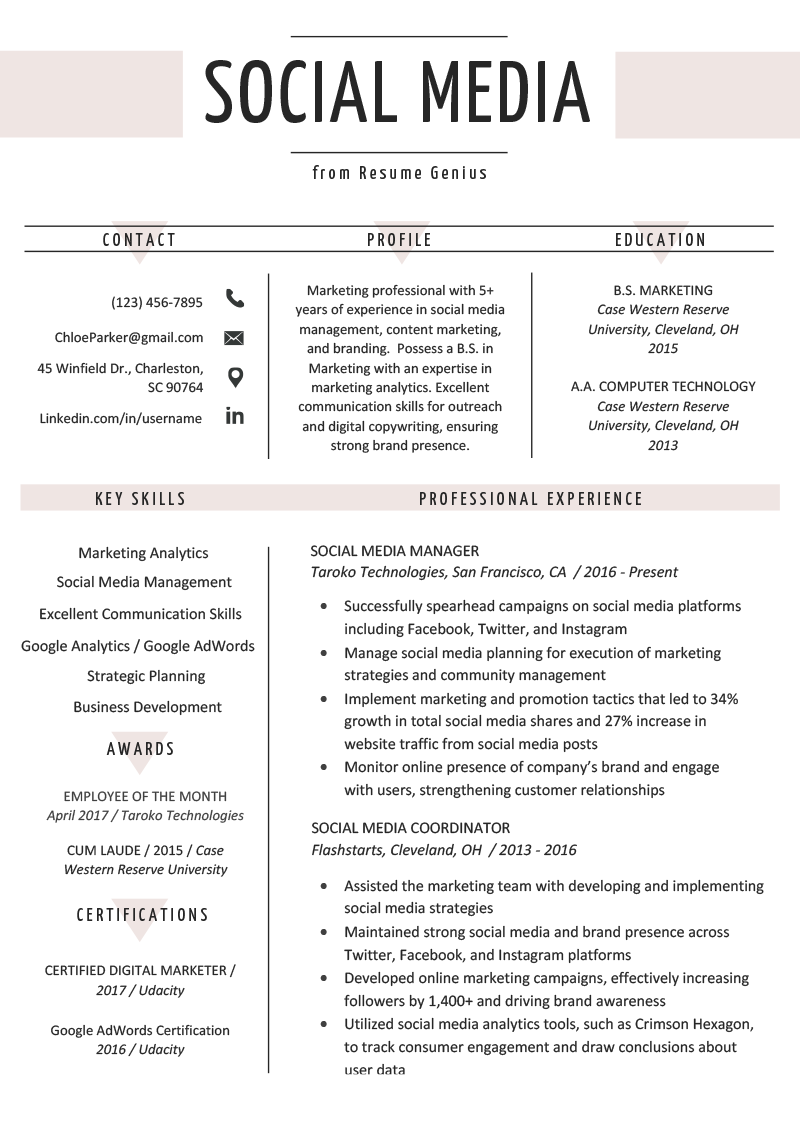https://images.netpeak.net/blog/social-media-resume-example-template.png