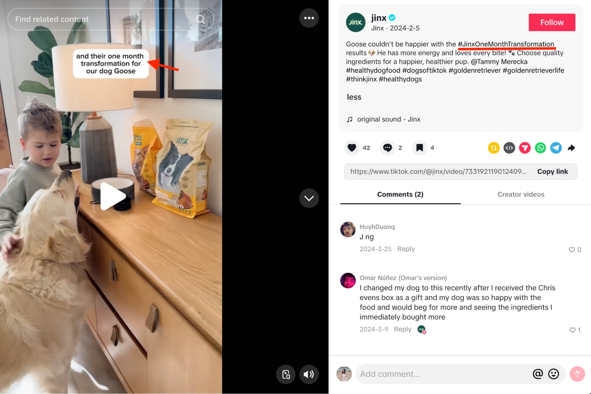 Strategy 1: TikTok & Instagram &ldquo;Pet Transformation&rdquo; Challenges