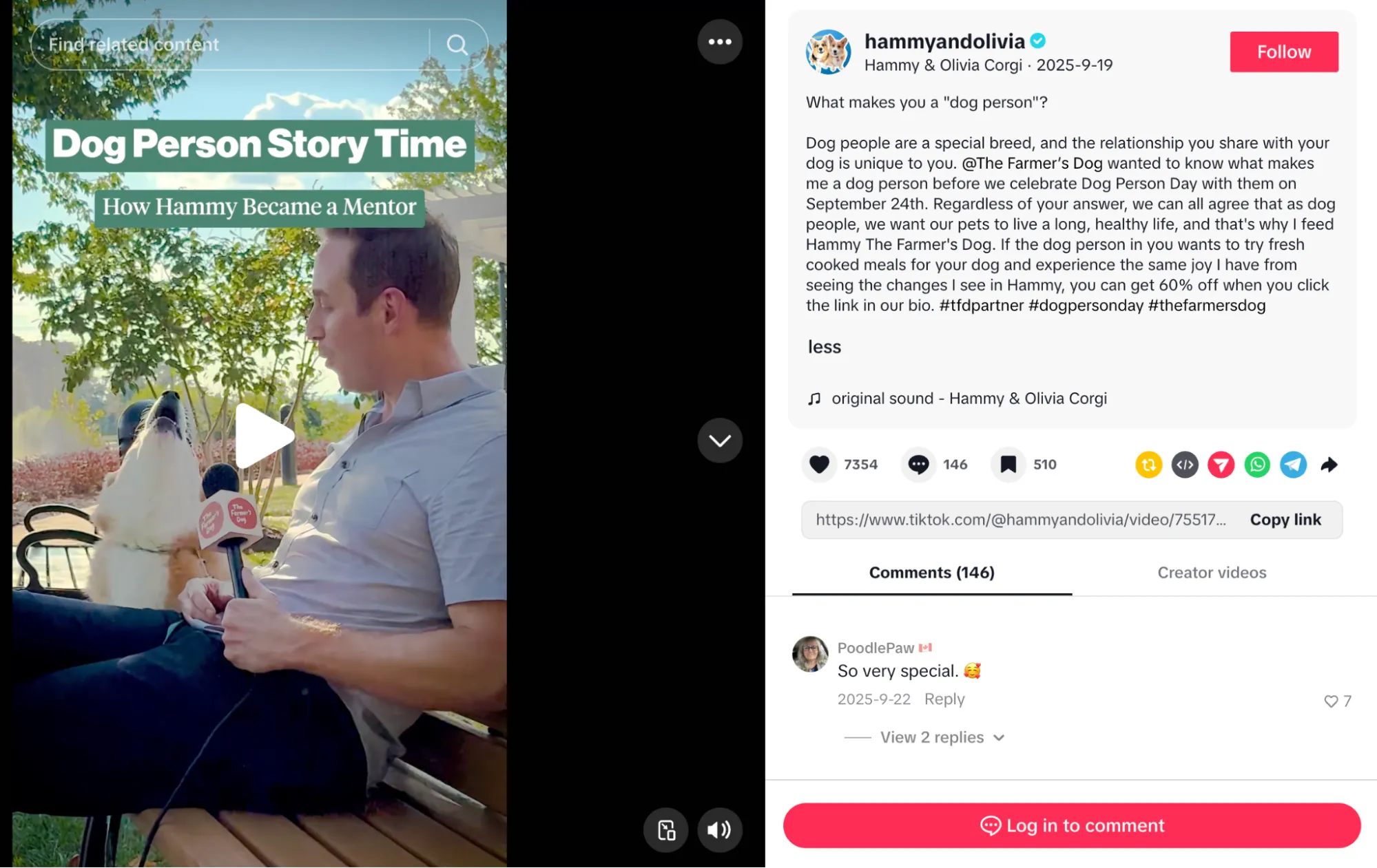 strategy-11-pet-parent-ugc-contests