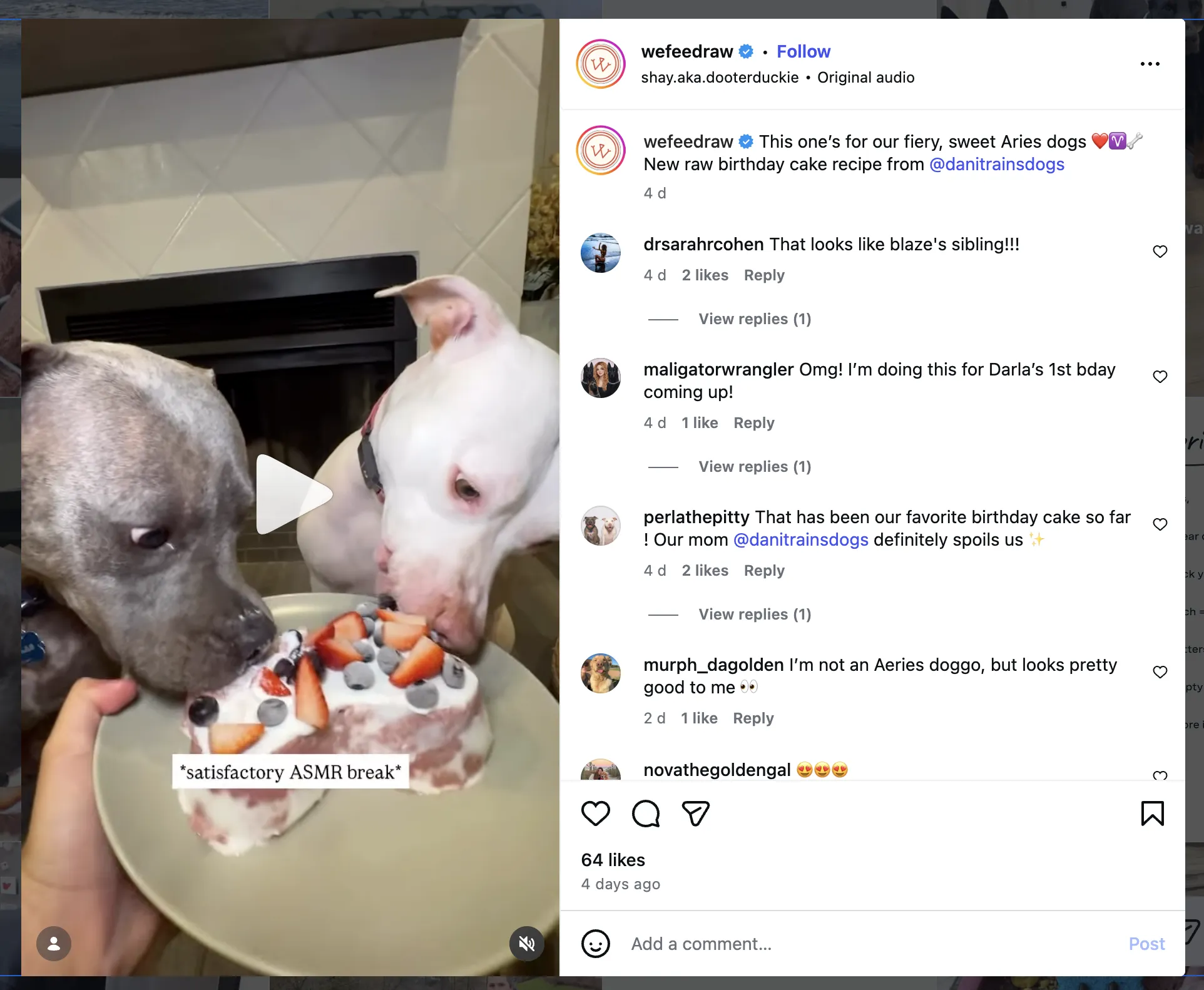 strategy-13-live-feeding-videos