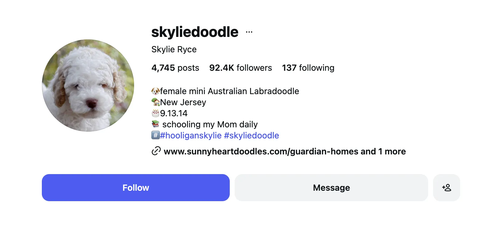 Strategy 3: Partnerships with Micro Petfluencers1