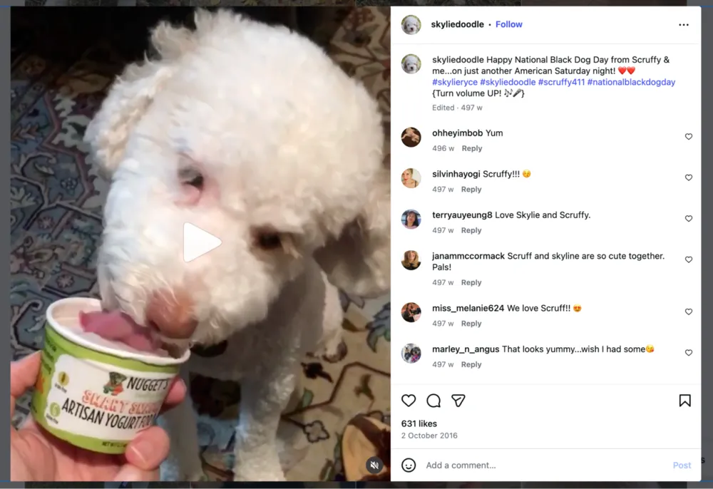 strategy-3-partnerships-with-micro-petfluencers2