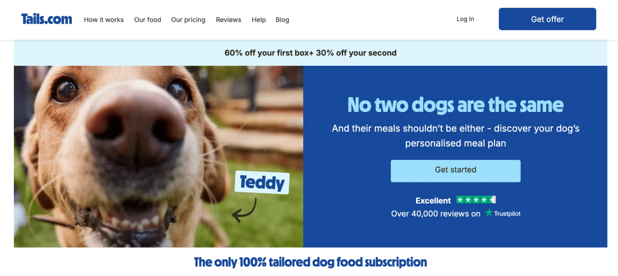 strategy-4-meal-plan-constructors-for-various-ages-and-breeds