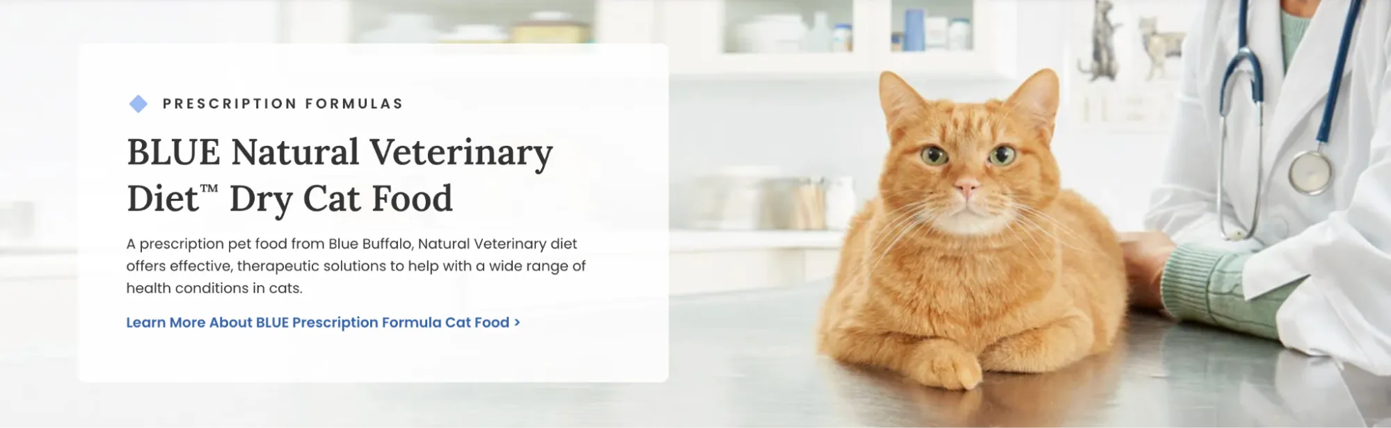 Strategy 8: Co-Created Formula with Vets