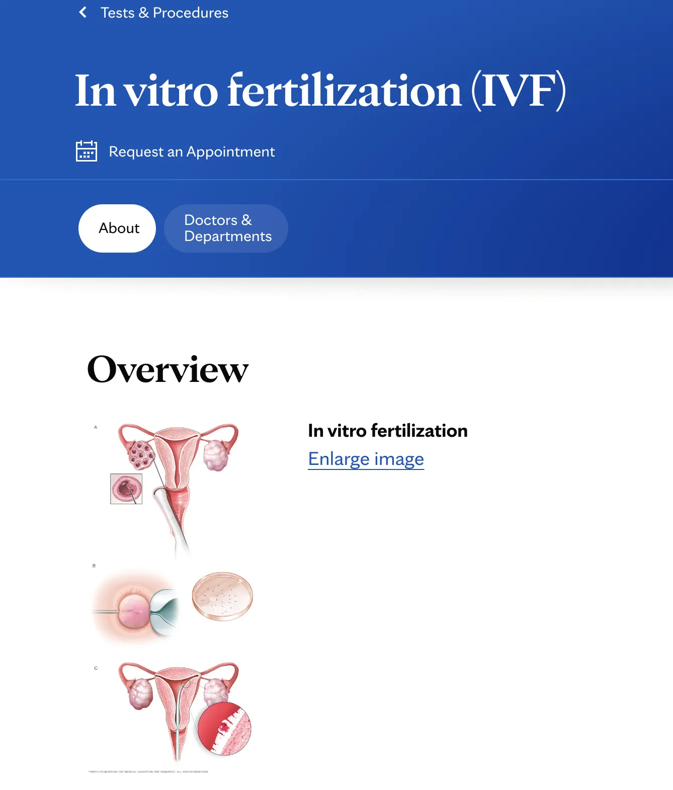Service page example