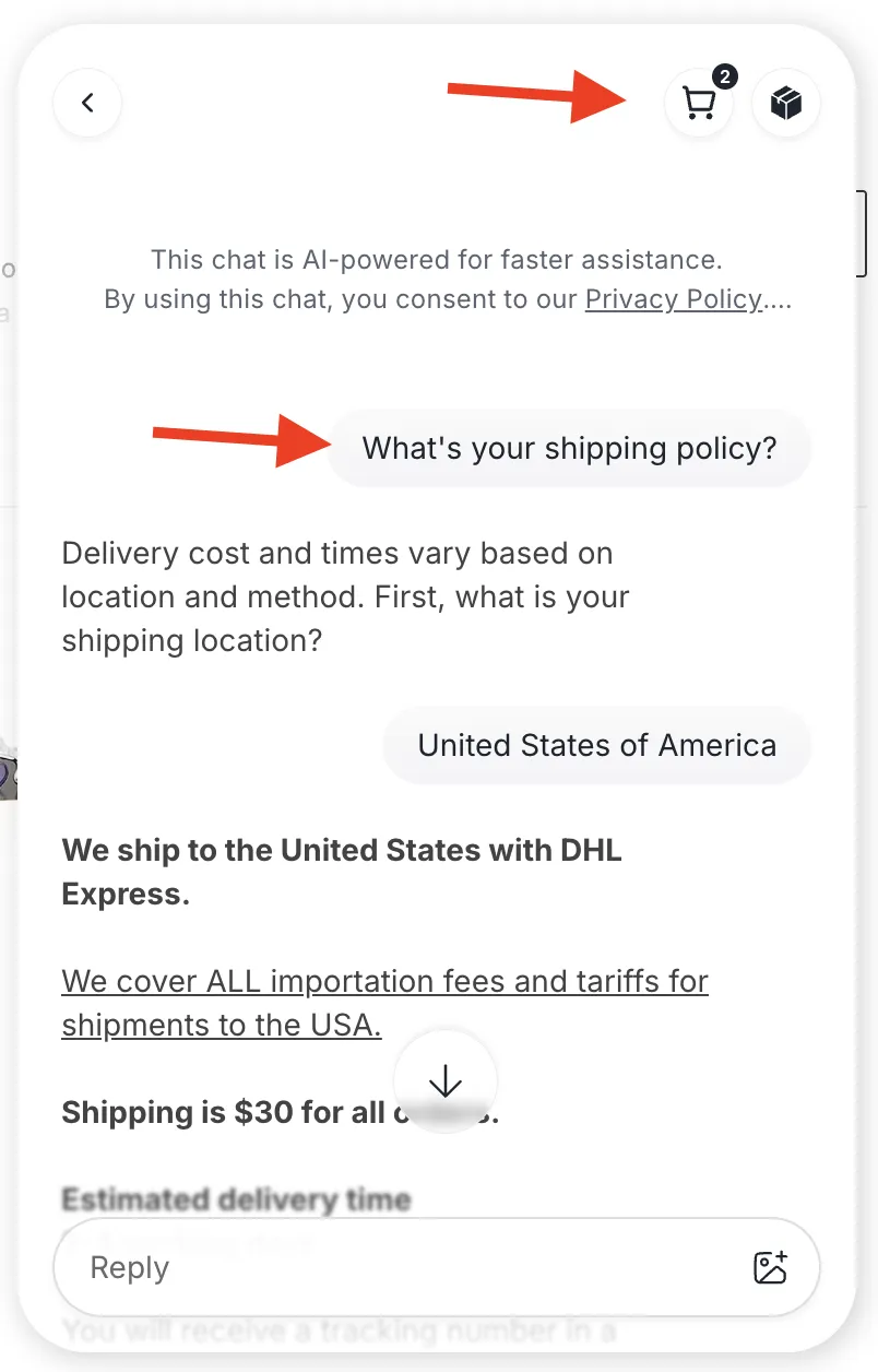 Tidio’s Lyro AI Agent test drive 1