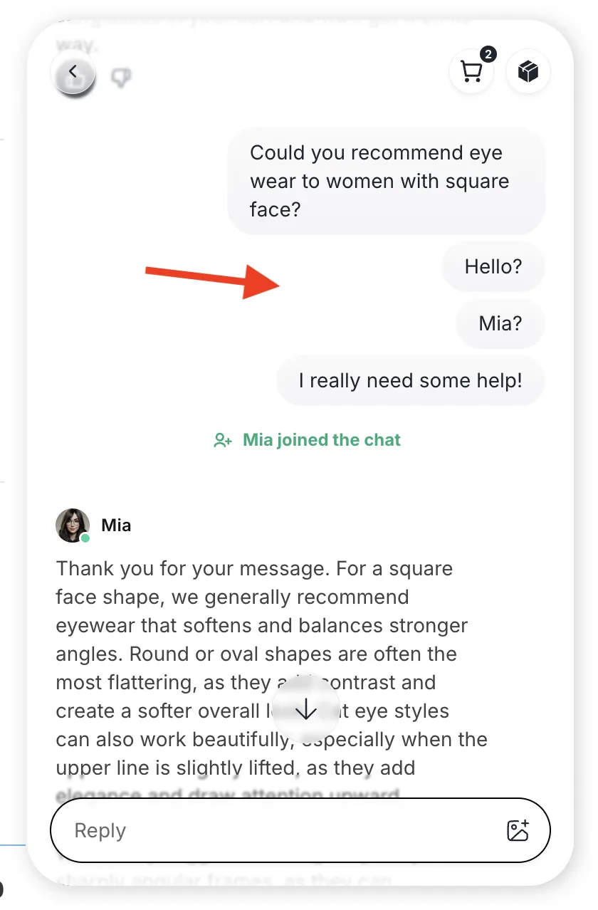 Tidio’s Lyro AI Agent test drive 3