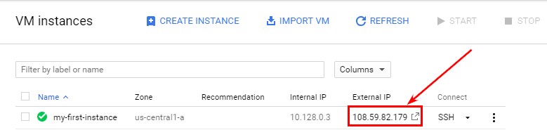 Вернитесь в свой проект в Google Cloud Platform и перейдите по IP-адресу, который указан напротив названия вашего инстанса