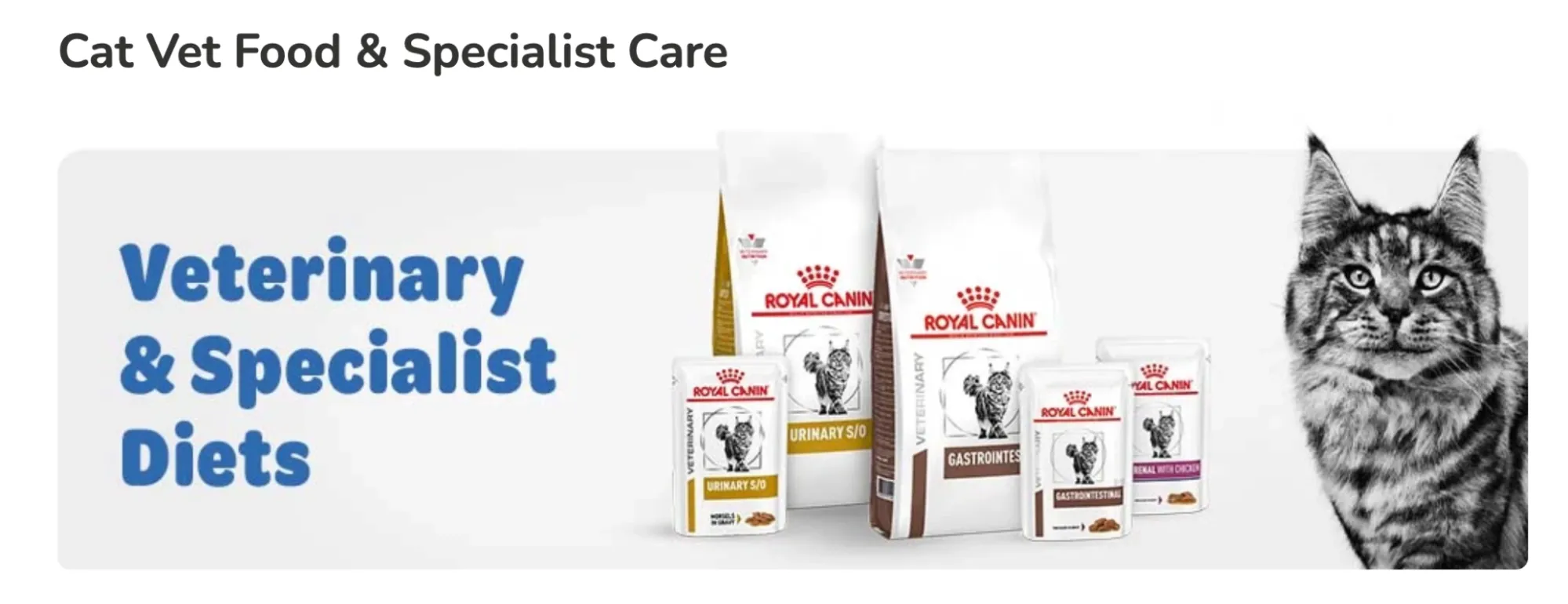 veterinary-and-expert-credibility