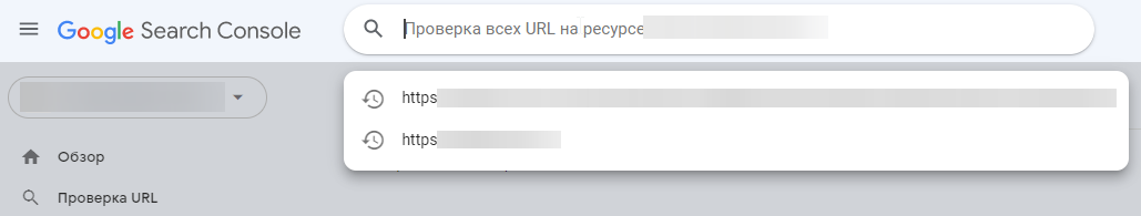 Вставьте ссылку на интересующую вас страницу в строку поиска Search Console