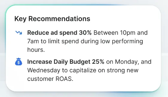 E-Commerce AI Agents for Business Insights