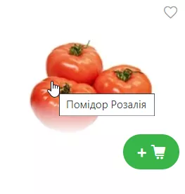 Коли атрибут title додається до картинки, і користувач наводить на нього курсор, з’являється підказка з текстом