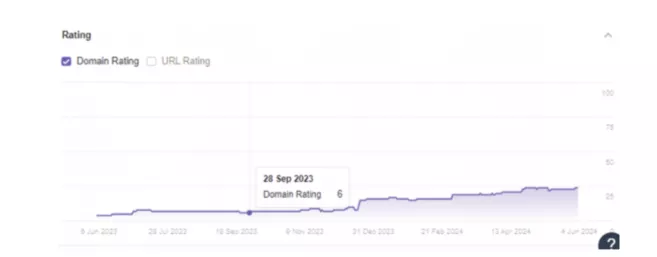 Збільшення Domain Rating Huntly